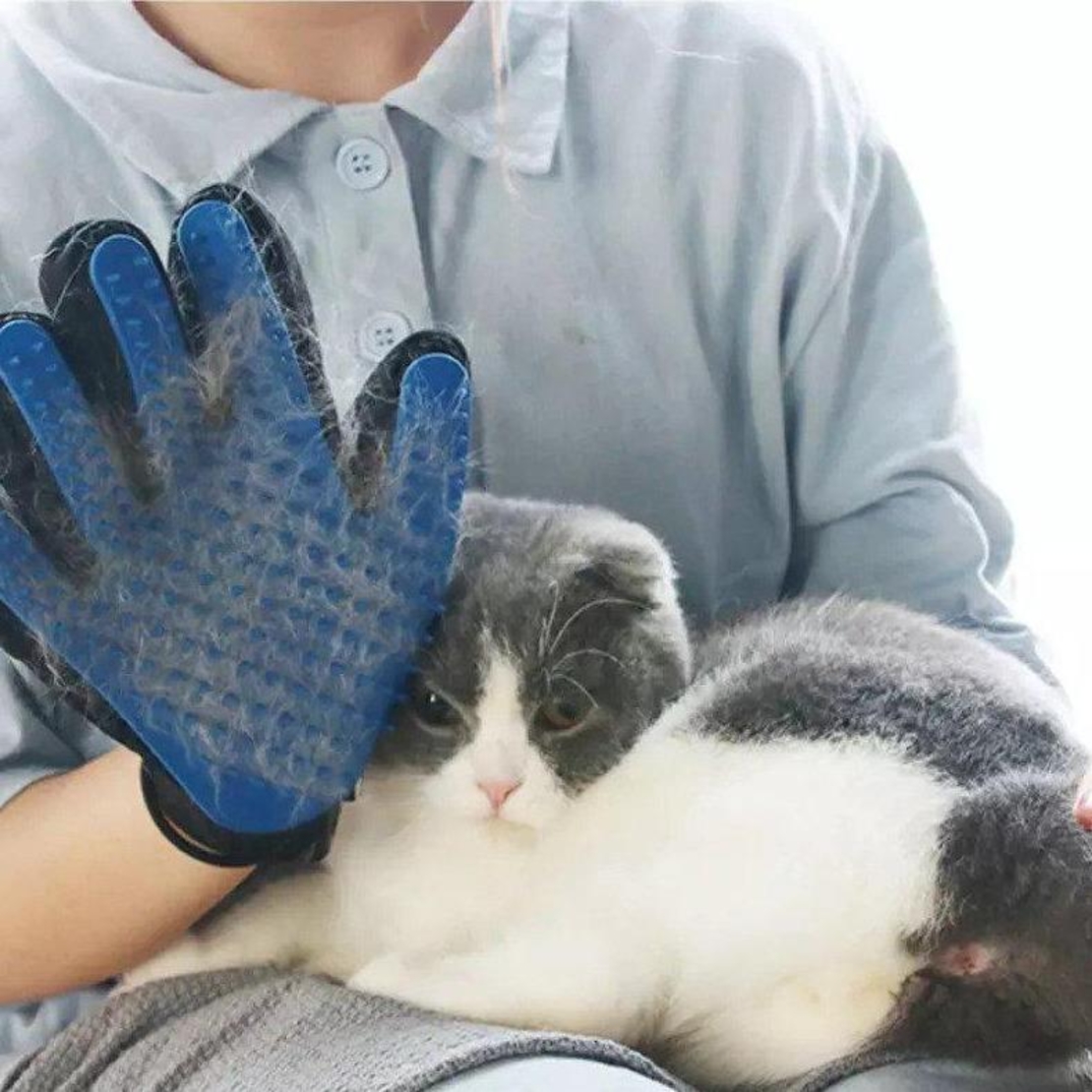 Manusi pentru Periat si Masat Animale de Companie, Set