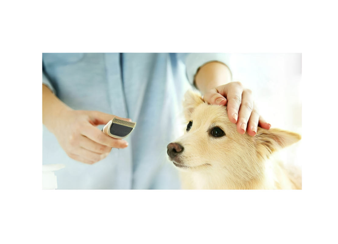 Masina de Tuns pentru Animale de Companie, 4 Capete Interschimbabile, Neo™