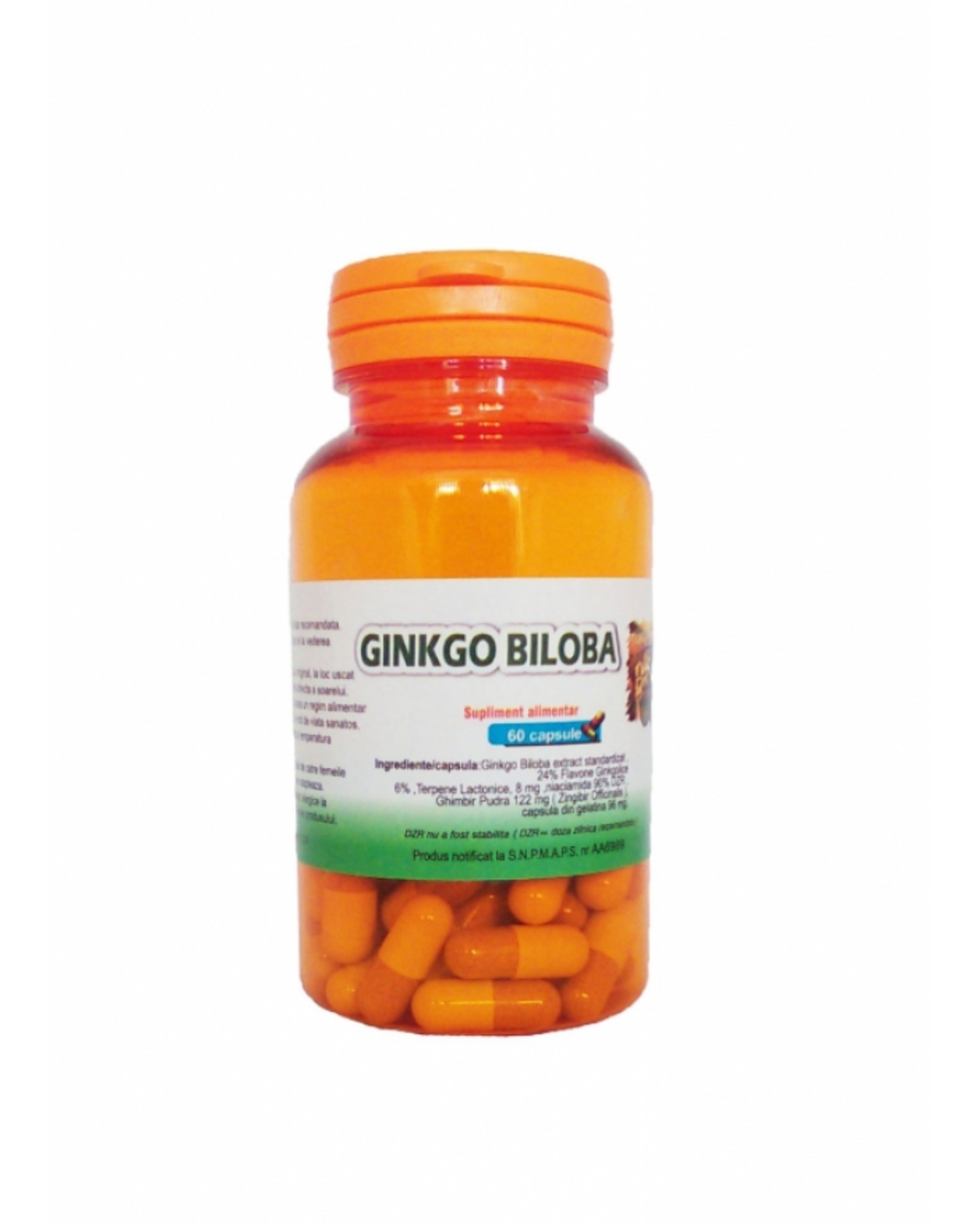 Ginkgo Biloba, 60 Capsule