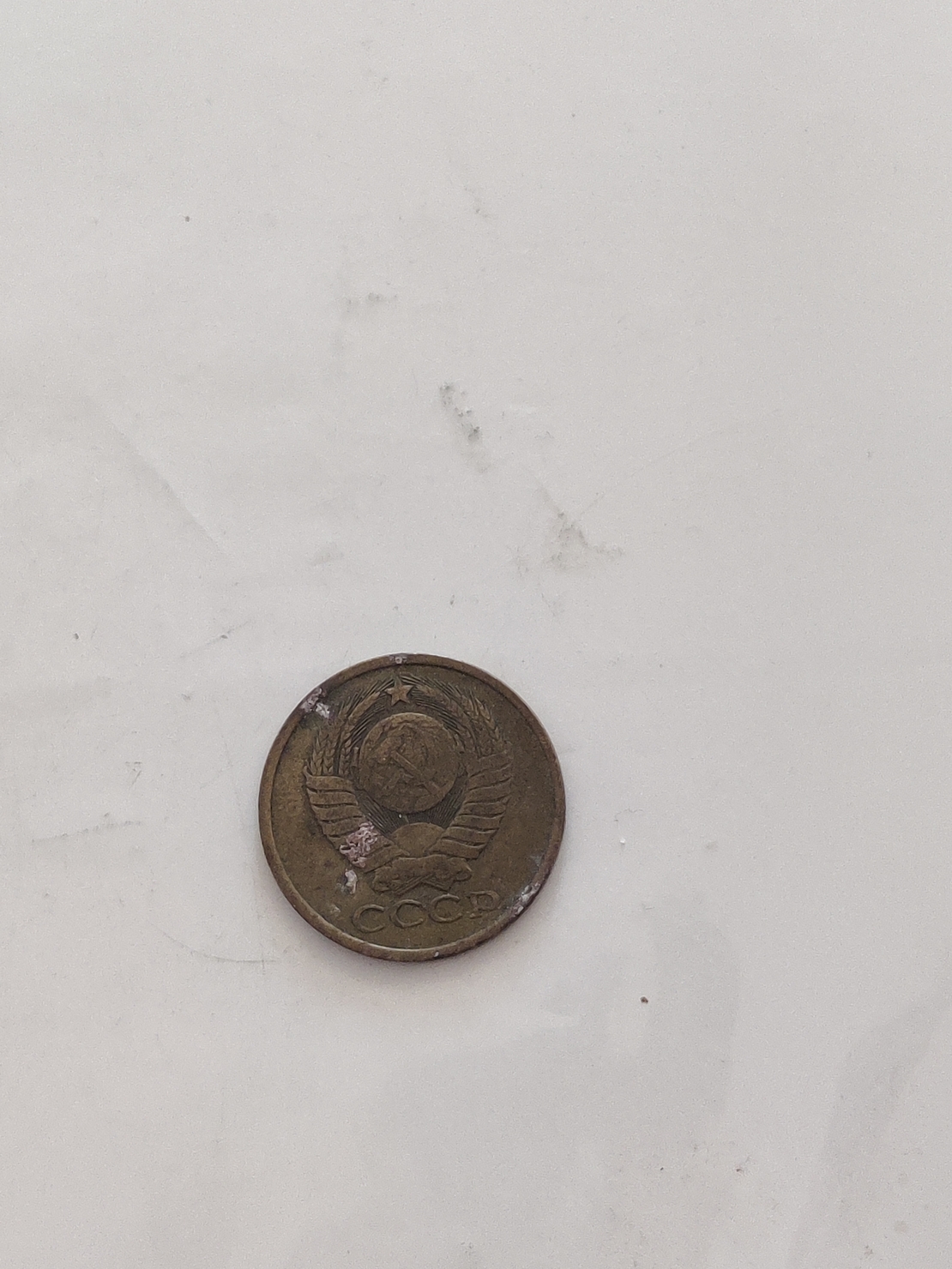5 koneek, 1981
