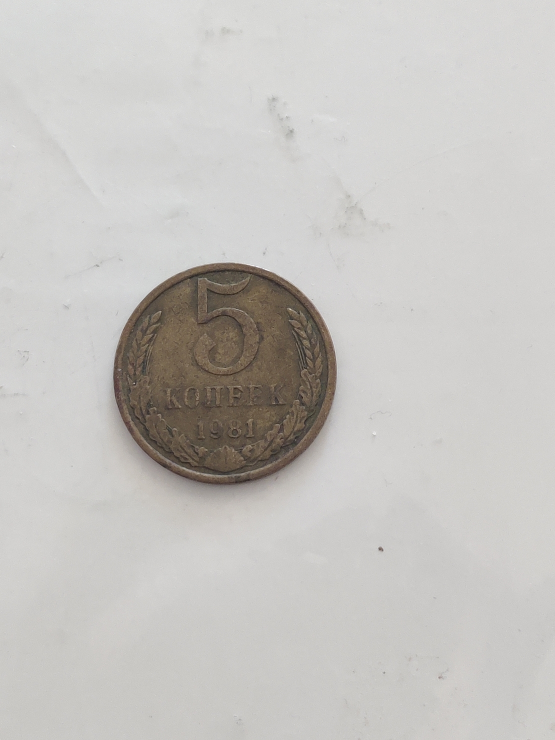 5 koneek, 1981