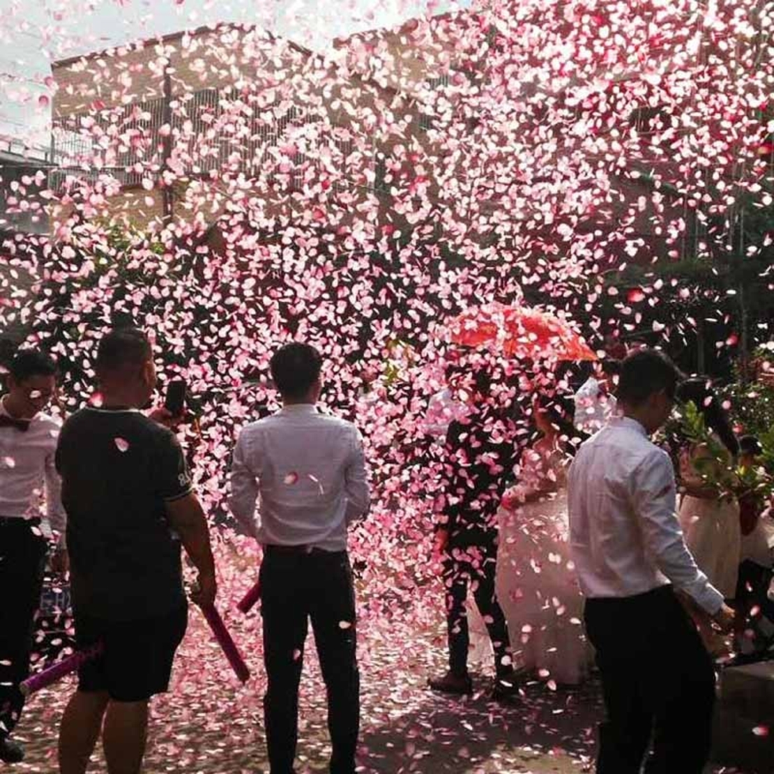 Tun Confetti, Flippy, Best Wishes, Confetti Inimioare si Paiete, 60 x 5 cm, Roz Auriu