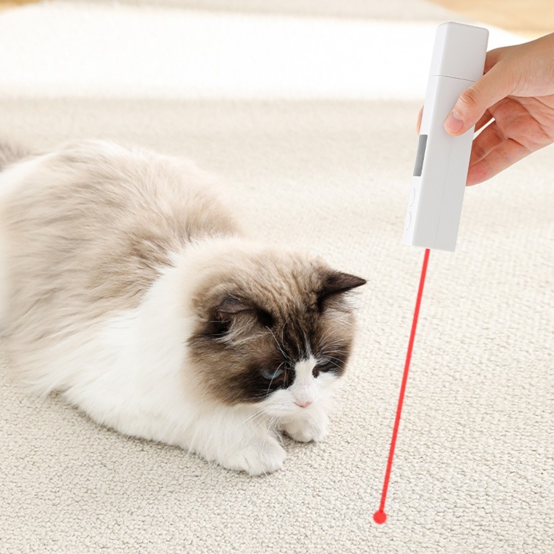 Pila Electrica pentru Animalute de Companie, Flippy, Incarcare USB, Laser pentru Joaca, Capac Impotriva Prafului, Display Electronic, 15 x 3 cm, Mai Multe Viteze, Alb