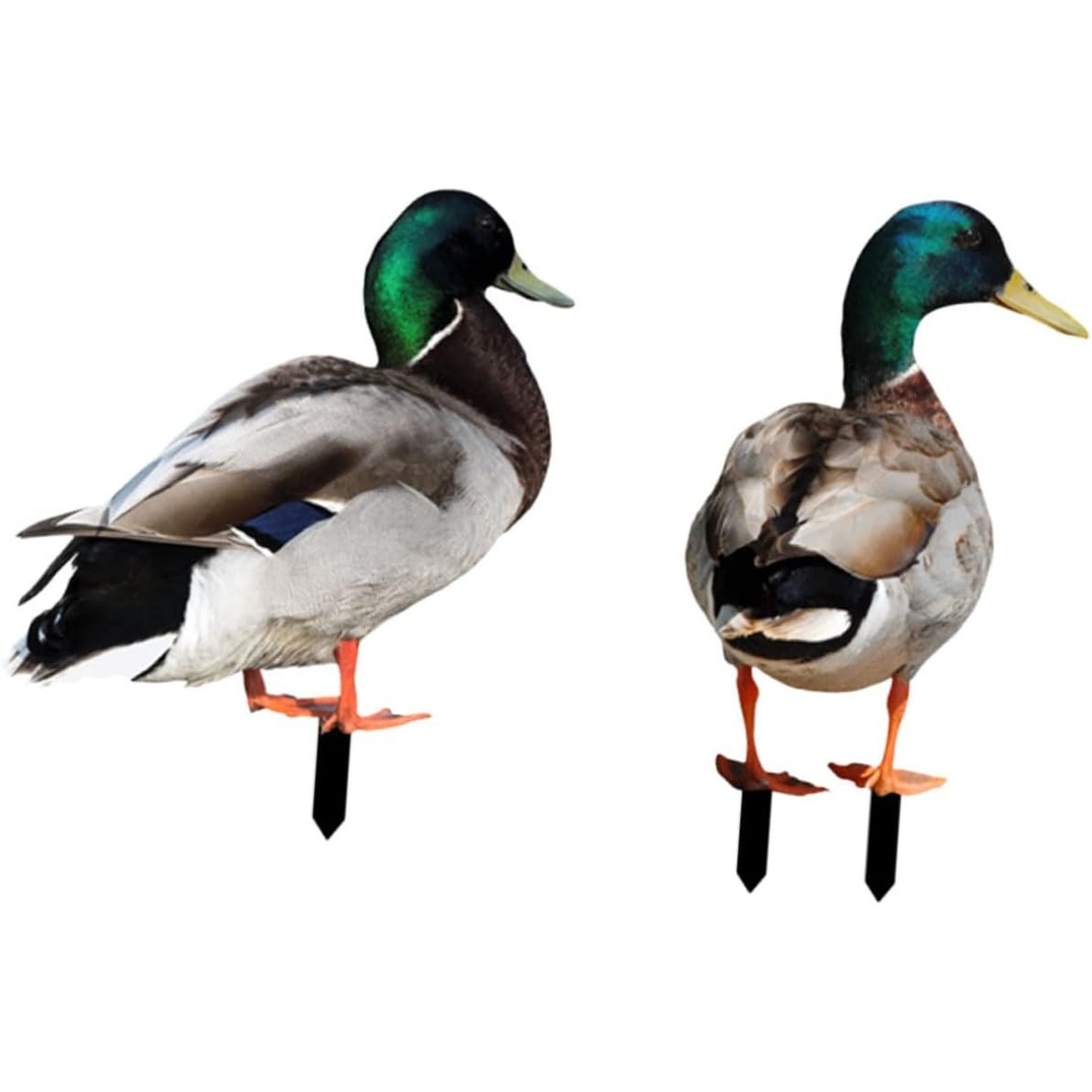 Set 2 Decoratiuni de Gradina, Flippy, Model Rata, Tip Placa, Grosime 3 mm, Fata-Verso, Multicolor