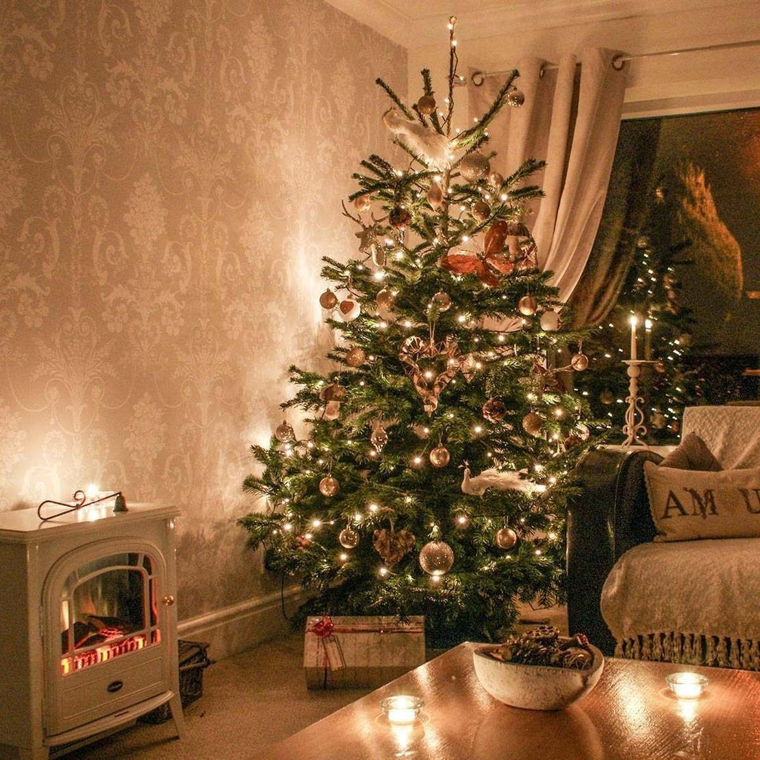 Instalatie Craciun, 5 m, Led-uri ,Liniara, Alb cald, 8 jocuri de lumini, Transformator cu telecomanda, Interconectabila, Prelungitor 5 m inclus, Fir Verde, Flippy