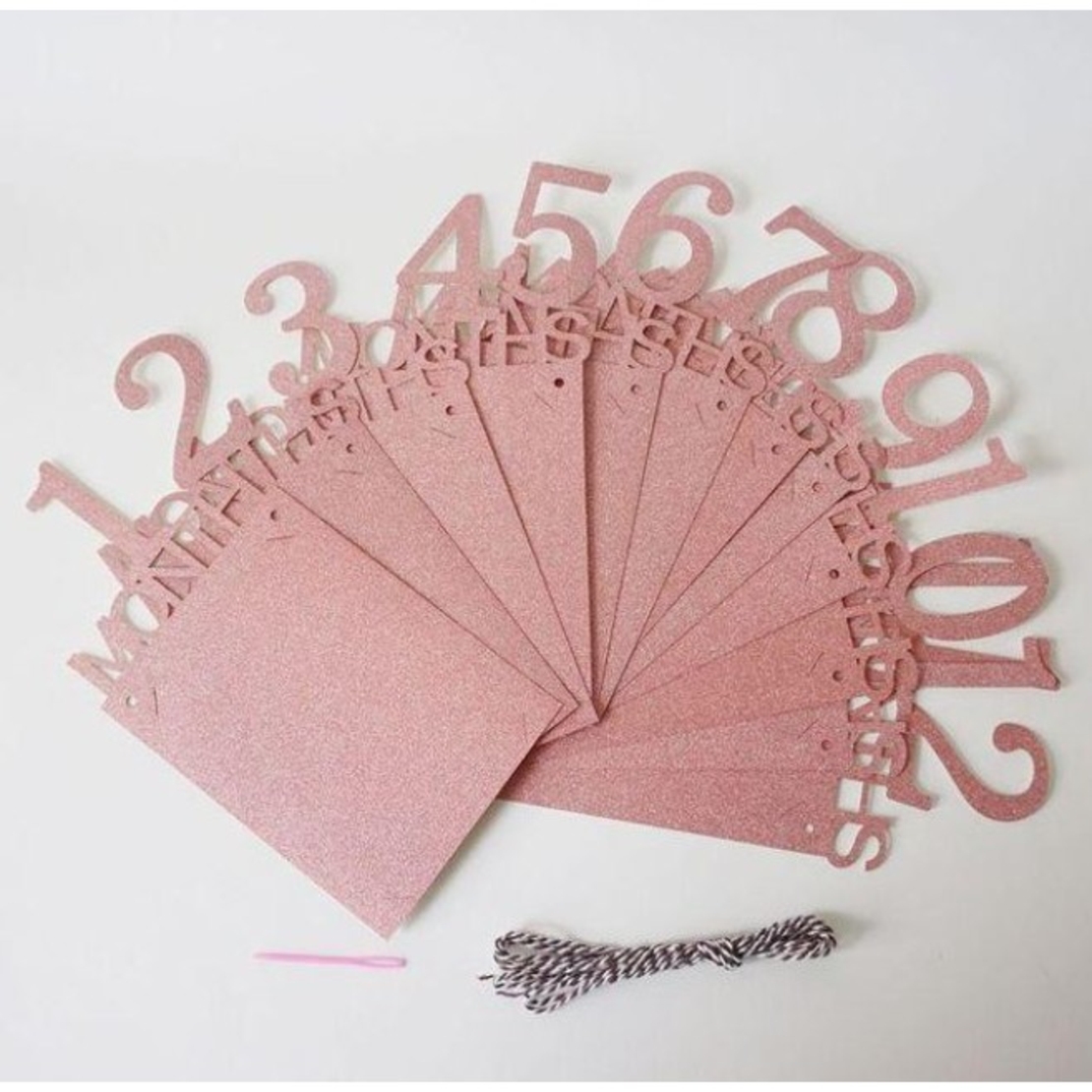 Banner pentru Poze, Flippy, 15.2x10.2 cm, Tema Prima Aniversare, Model Primele 12 Luni, Rola Ata Inclusa, Roz