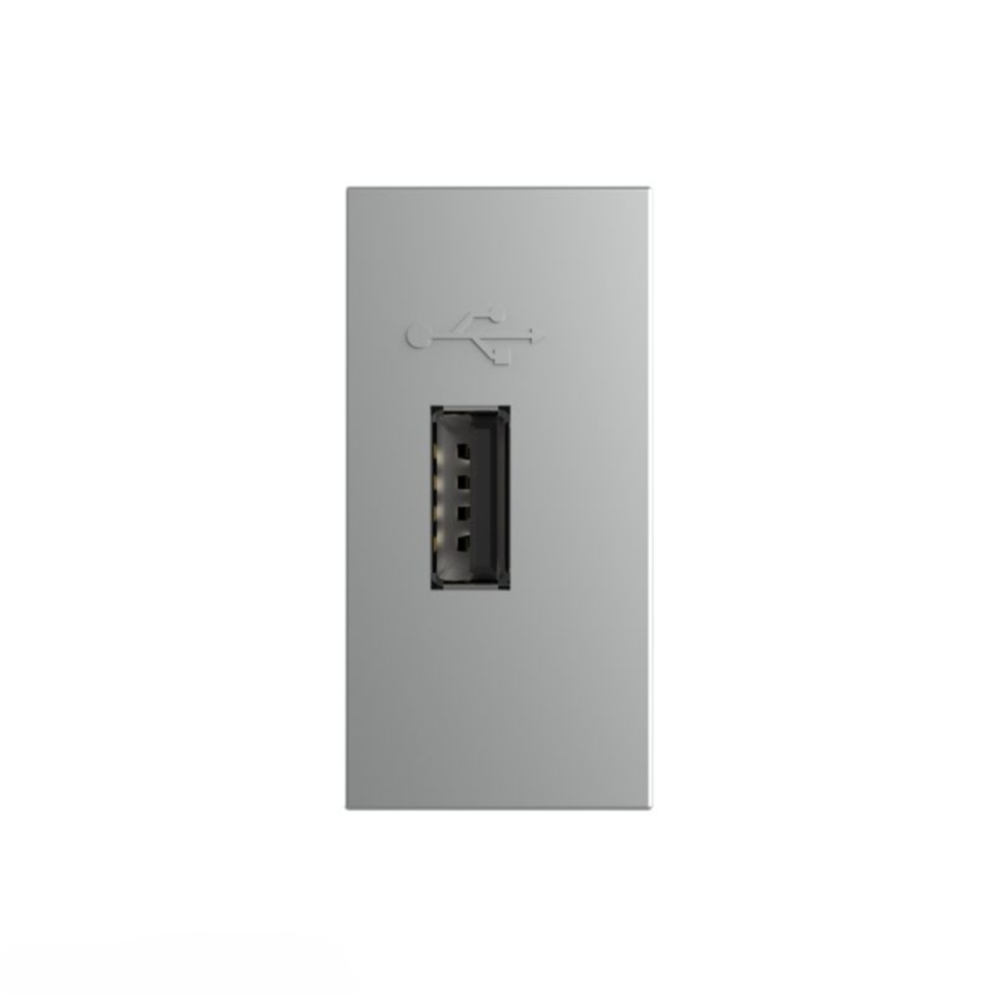 Priza USB Livolo, gri