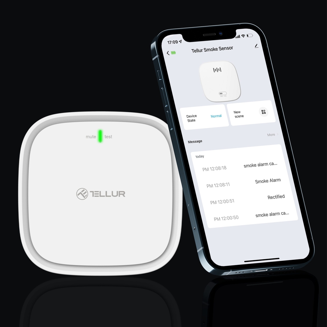 Senzor de gaz Tellur, Conexiune Wi-Fi, 2.4 GHz, Alarma, Notificari