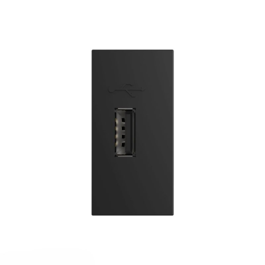 Priza USB Livolo, negru