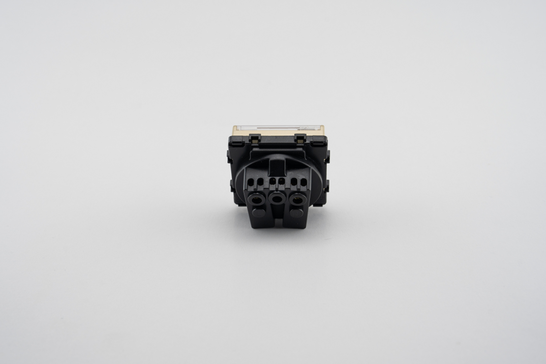 Modul Priza Simpla cu Capac Fara Rama Din Sticla LUXION, auriu