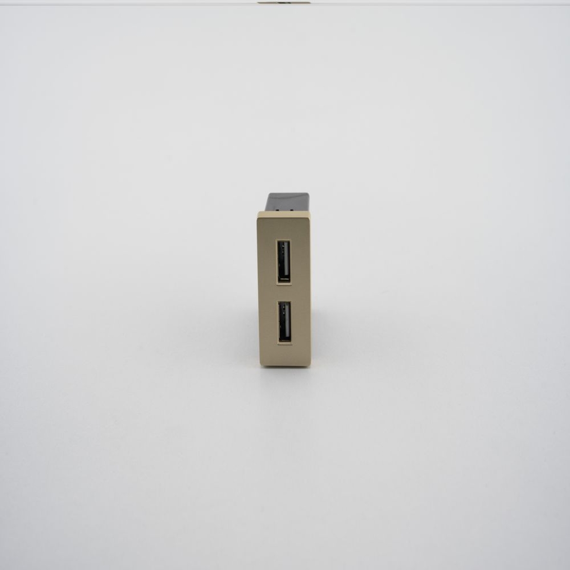 Modul Priza USB 2.4A 5V LUXION, auriu