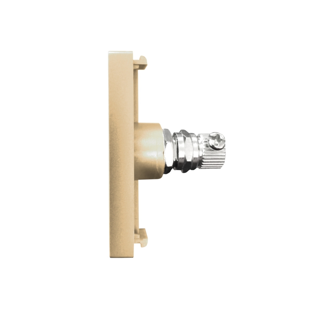 Modul Priza TV 1M LUXION, auriu