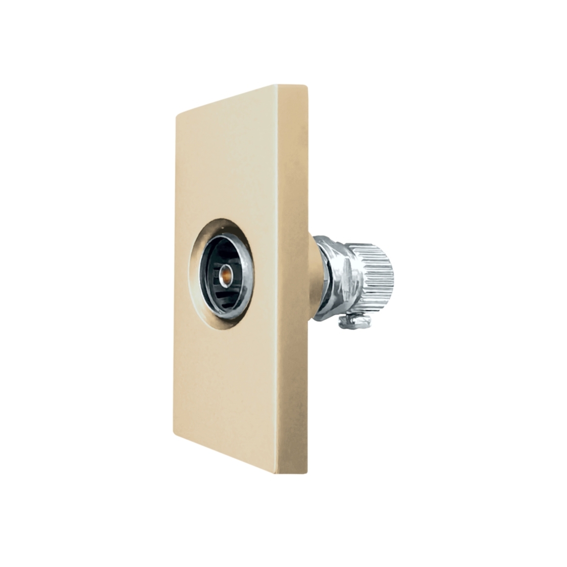 Modul Priza TV 1M LUXION, auriu