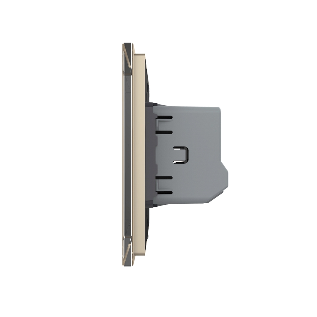 Intrerupator Dublu cu Revenire, Contact Uscat cu Touch LIVOLO - Serie Noua, auriu