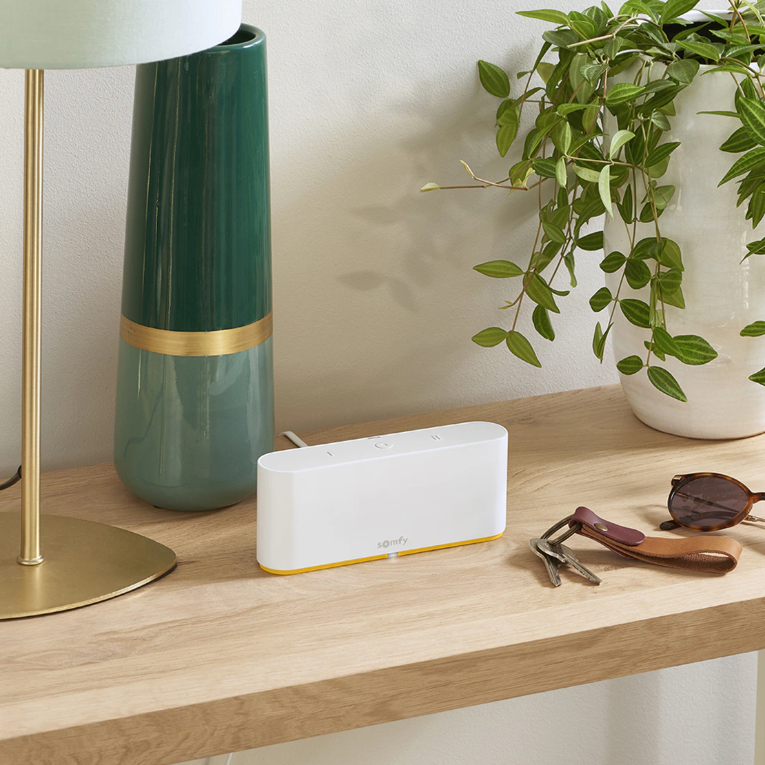 Unitate de comanda Somfy Tahoma Switch DIY, Compatibil RTS si ZigBee 3.0, Control vocal
