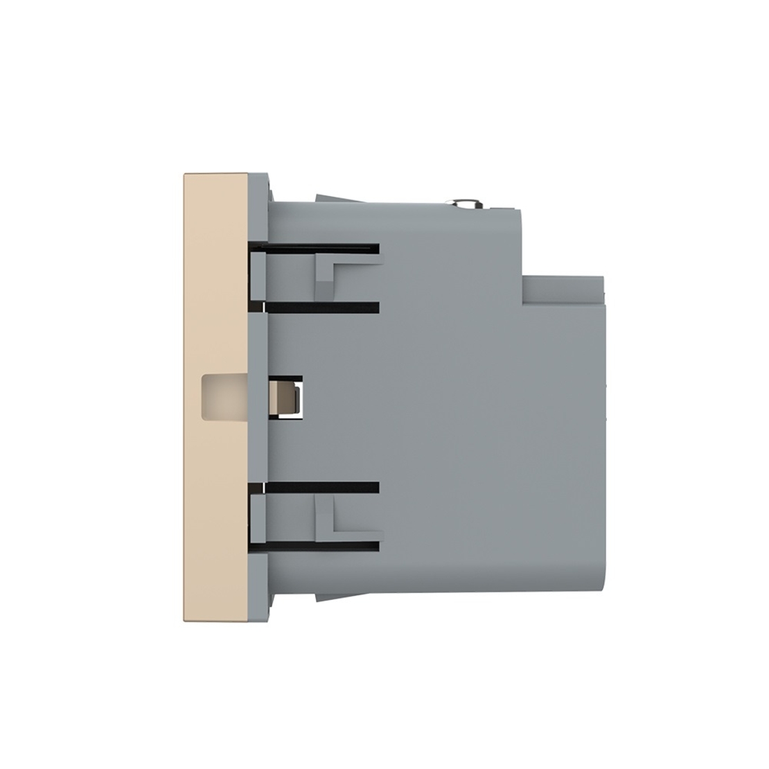 Modul Priza USB Tip C Livolo - Serie Noua, auriu