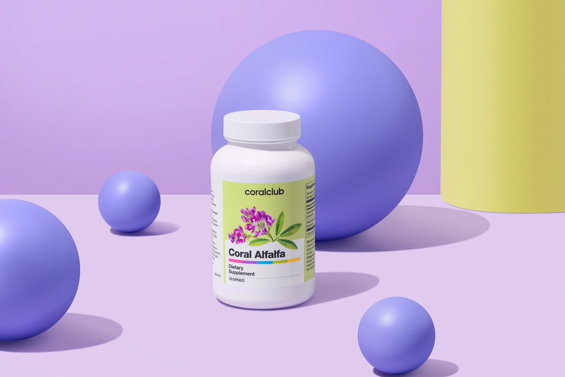 Coral Alfa-Alfa lucerna