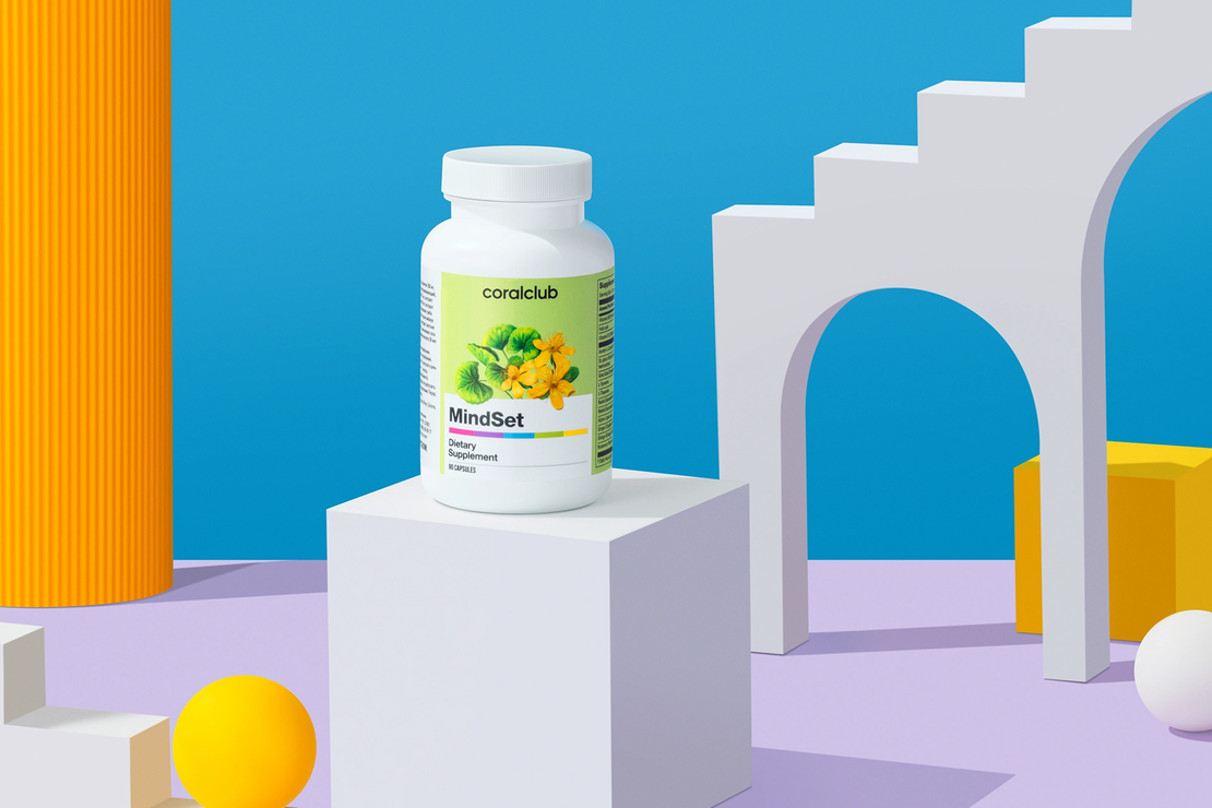 Mindset - circulatia sanguina