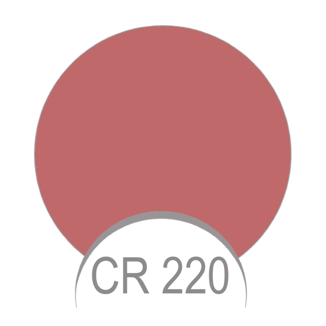 Paris Berlin Creion de buze mat - 1.8 g