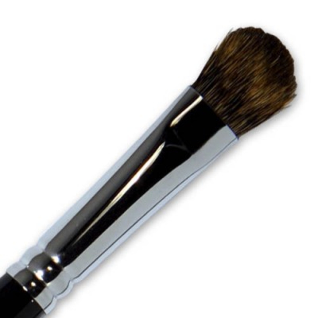 Parisax Professional Eyeshadow Brush BDBC7