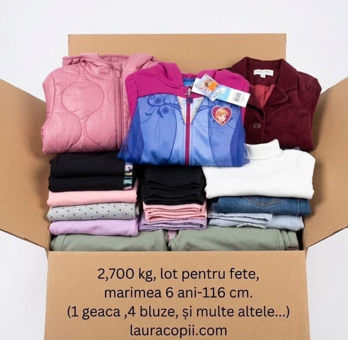 Lot Toamnă-Iarnă Fetiță 6 ani (110-116 cm) – 15 Piese de Brand (H&M, Disney, Palomino) + GEACĂ L&D INCLUSĂ