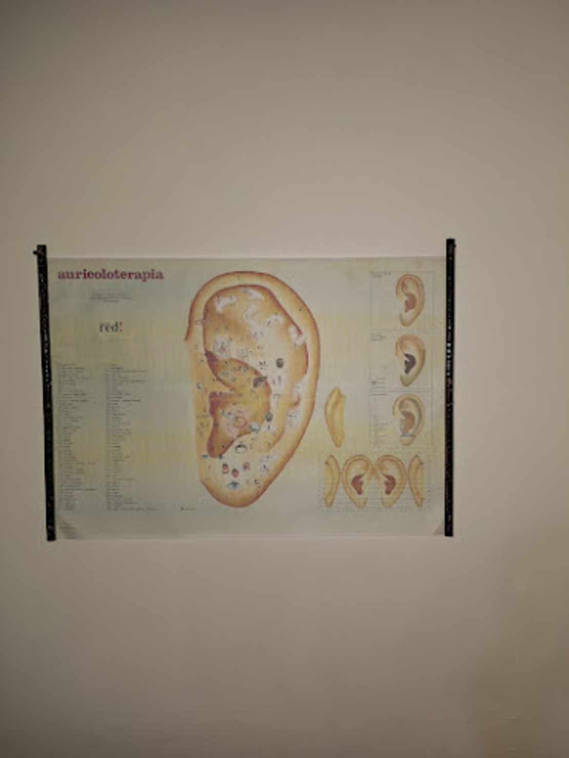 Auricoloterapie - presopunctură la lobul urechii (9+1)