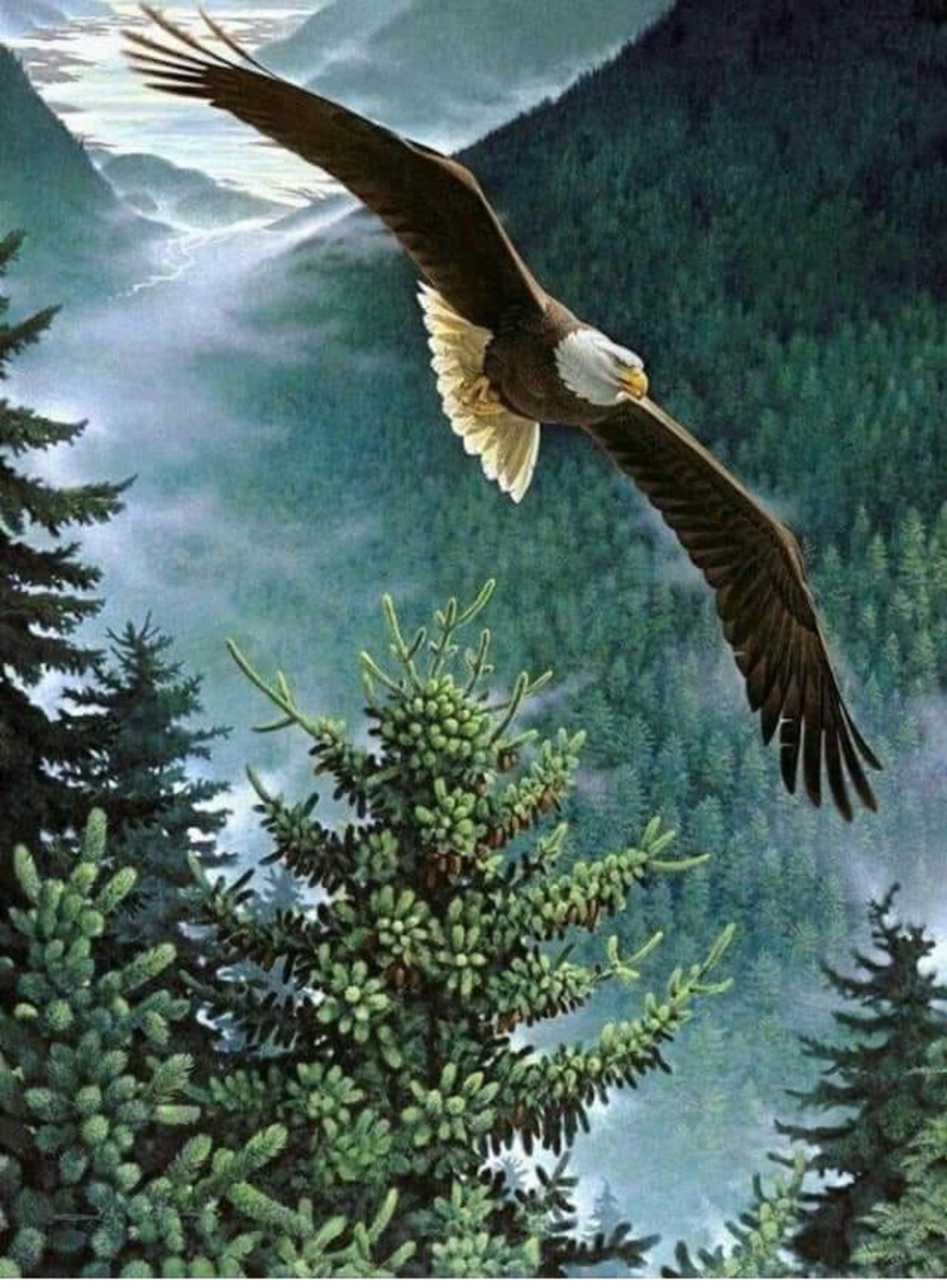 Consiliere dezvoltare personală la distanță