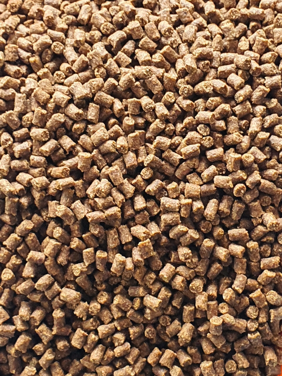 Pelete Crap pe baza de faina de peste 2mm