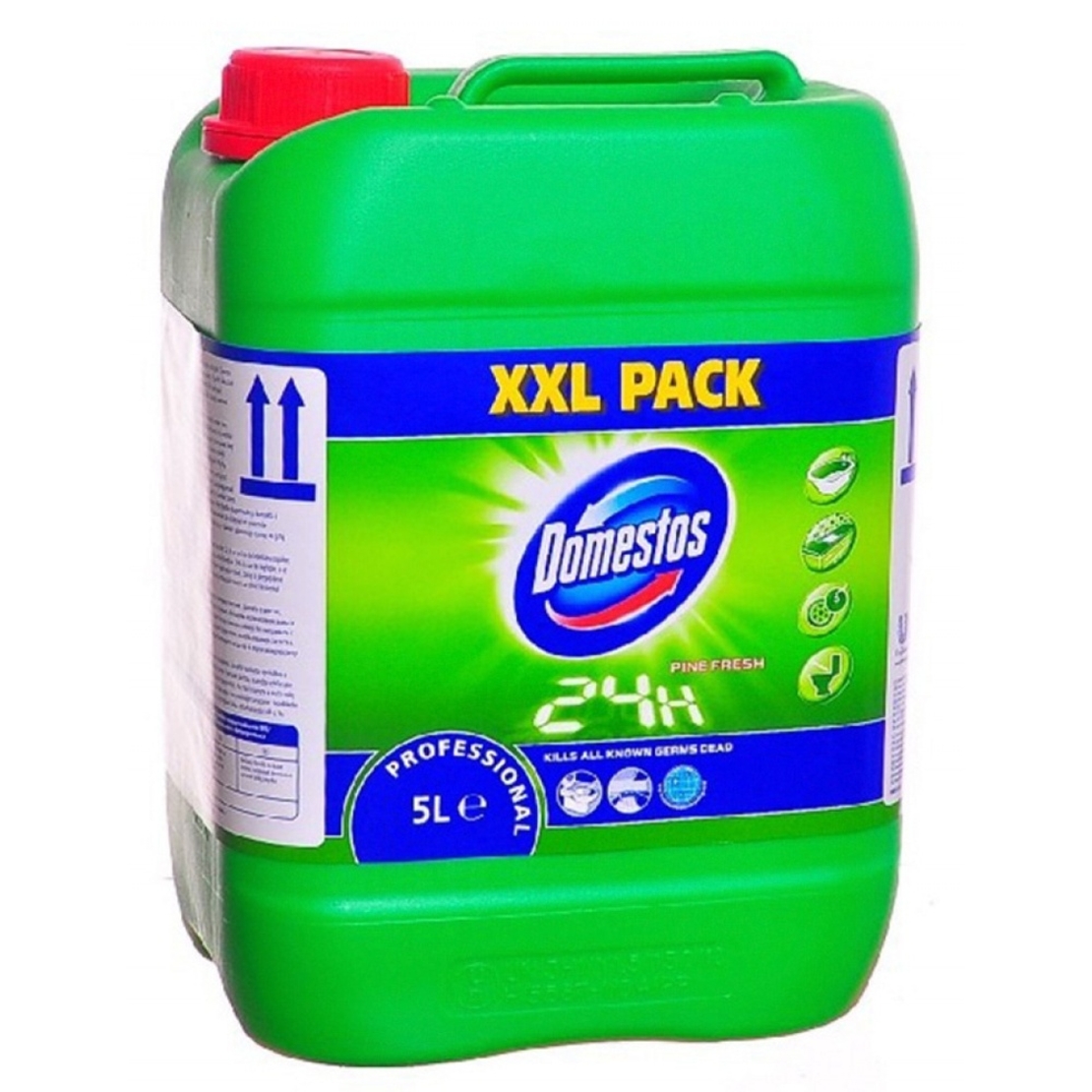 DOMESTOS Professional Pine Fresh, gel pentru curatarea si dezinfectarea toaletelor, 5 litri