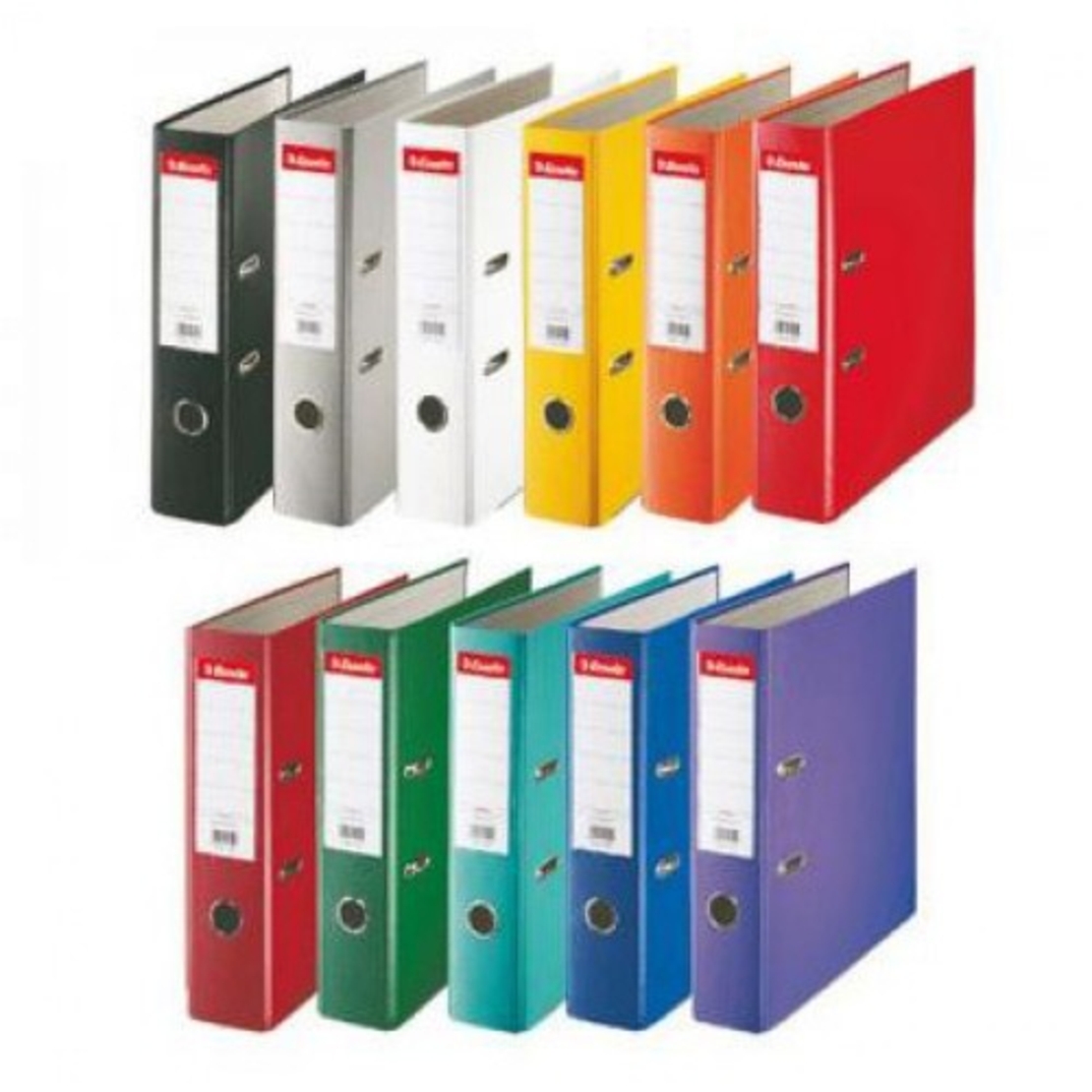 Biblioraft A4 plastifiat Esselte