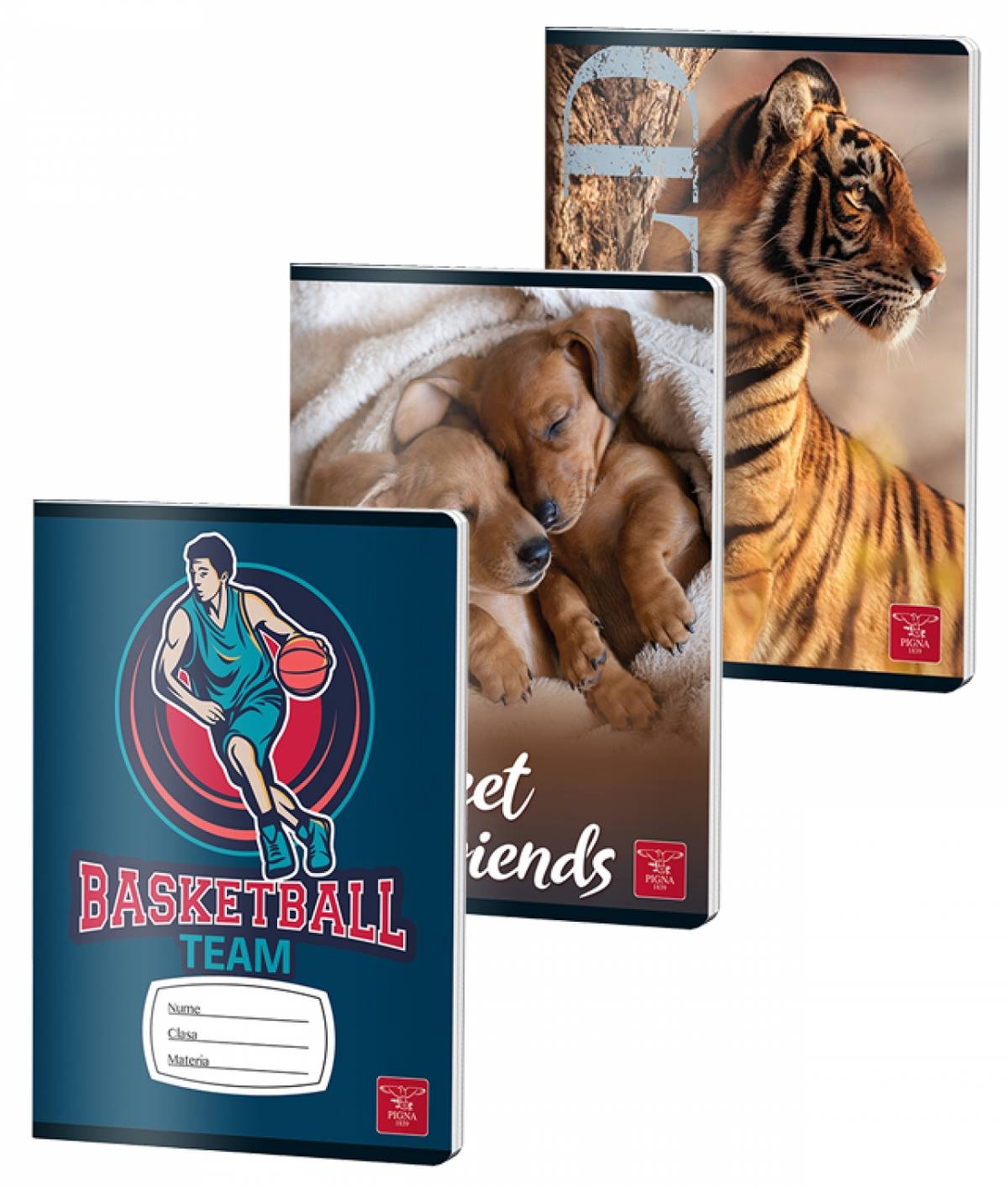 Caiet A5 48 file, color Pigna, velin, 5buc/set