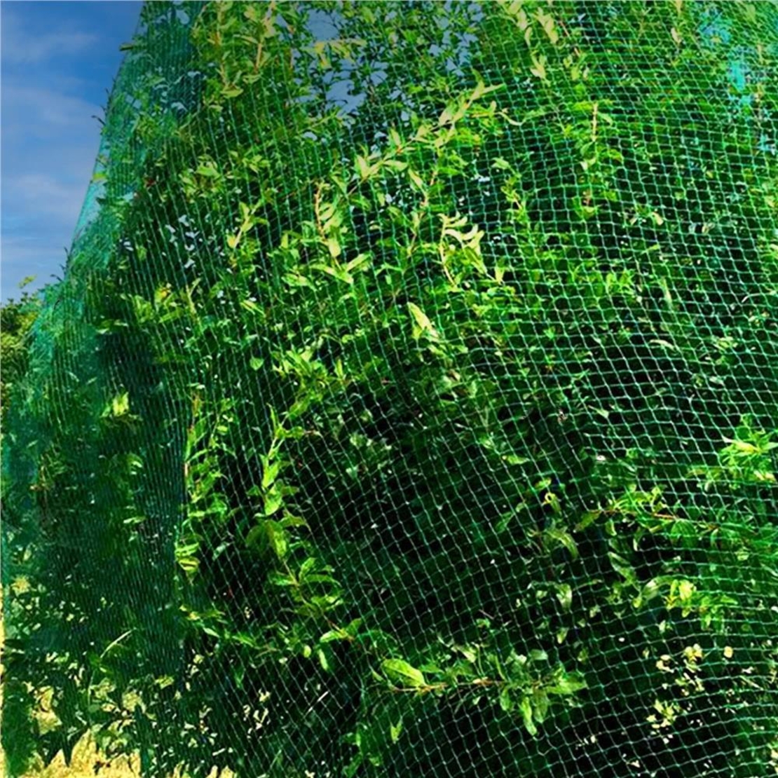 Plasa anti pasari 8x20m din polietilena, cu pini de fixare, verde