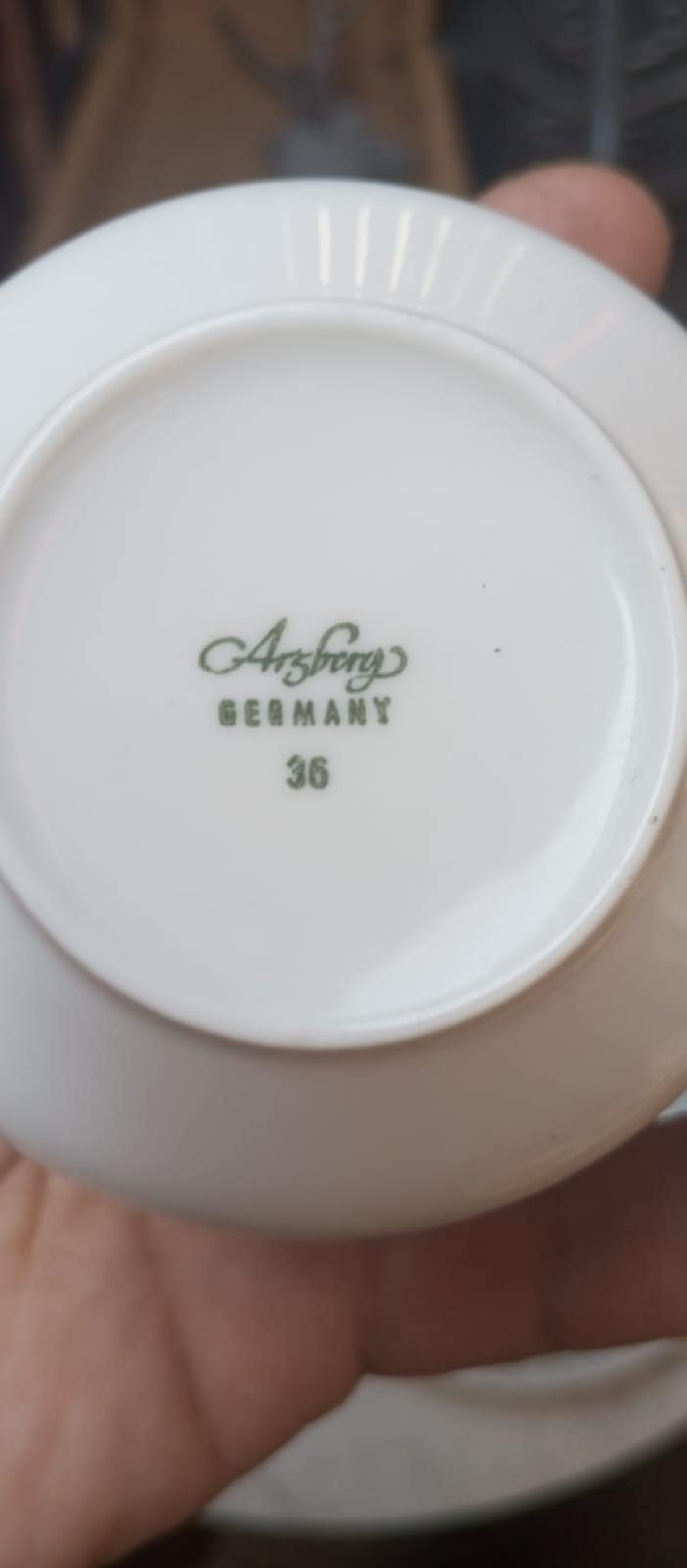 Set porțelan fin Bavaria Germania