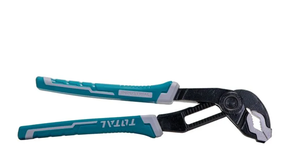 TOTAL - CLESTE PAPAGAL - 10
