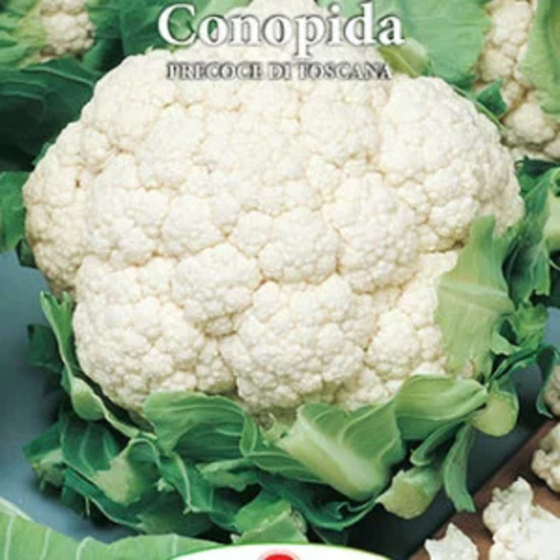 PRIMA SEMENT CONOPIDA PRECOCE DI TOSCANA 1GR
