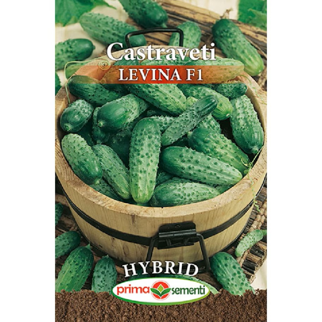 CASTRAVETI LEVINIA  F1 5GR