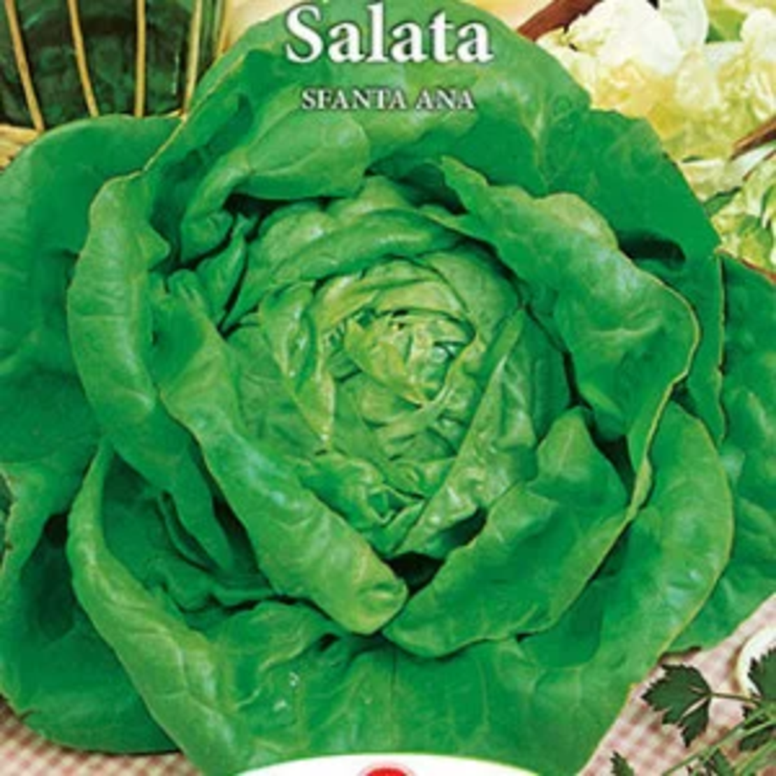 PRIMA SEMENTI SALATA SFANTA ANA 3GR
