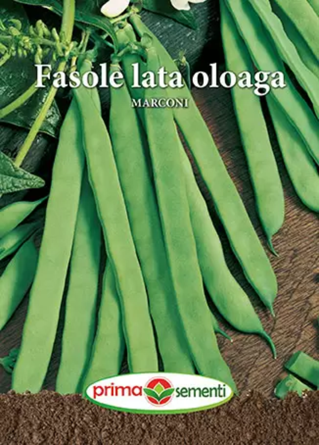 FASOLE LATA OLOAGA MARCONI 100GR