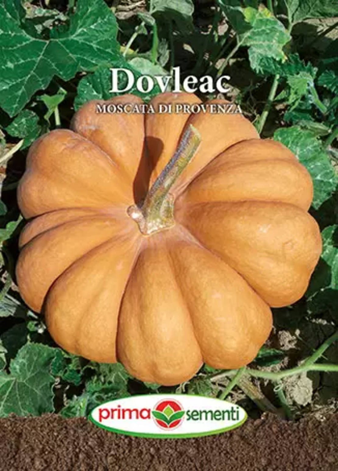 DOVLEAC MOSCATA DI PROVENZA 2GR.