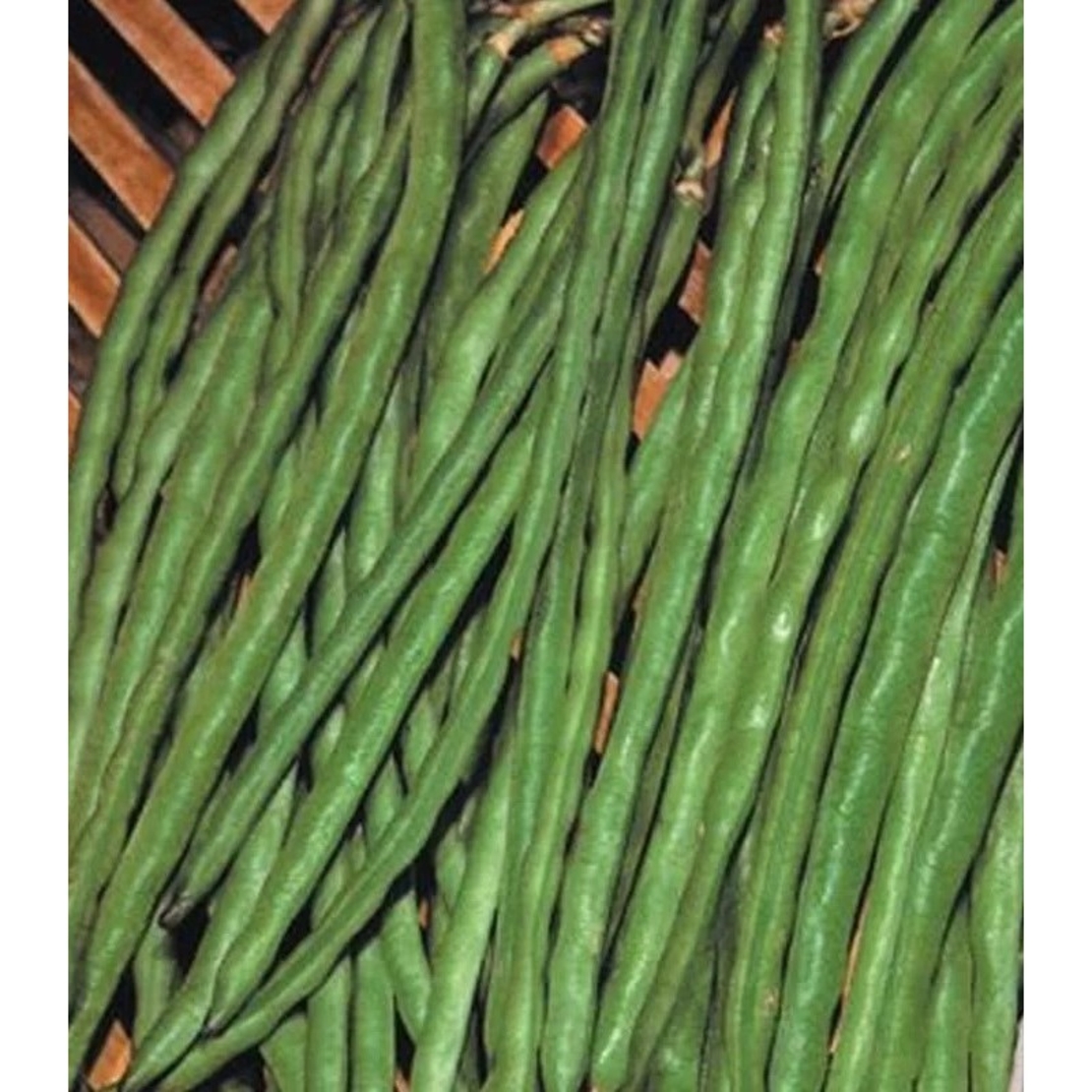 FASOLE URCATOARE MEFIM AGRO 20GR