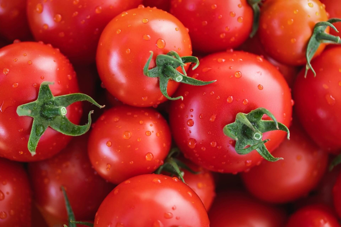 PRIMA SEMINTI TOMATE PARADICSOM ACE 55 0.7 GR