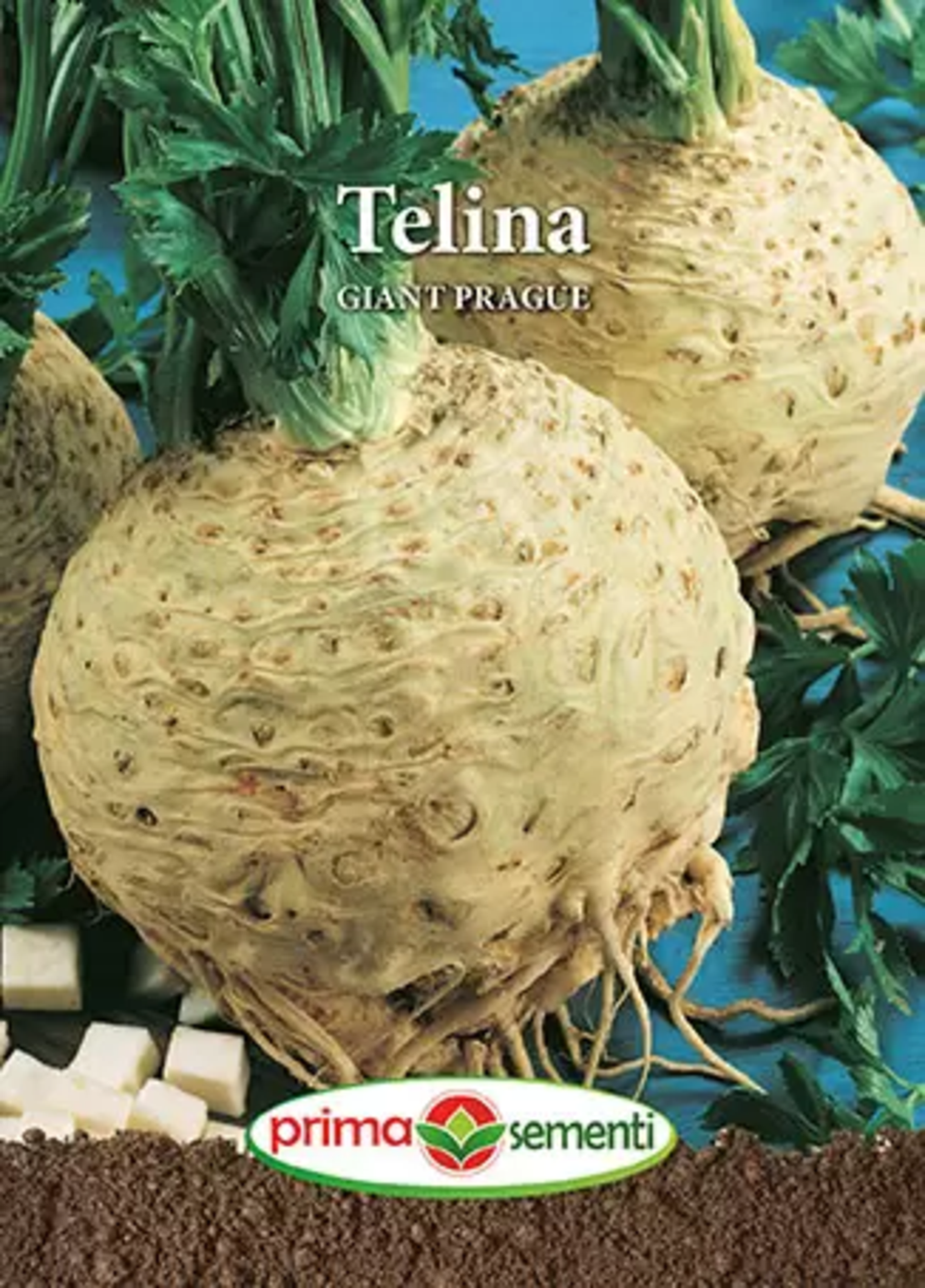 TELINA GIANT PRAGUE 2GR