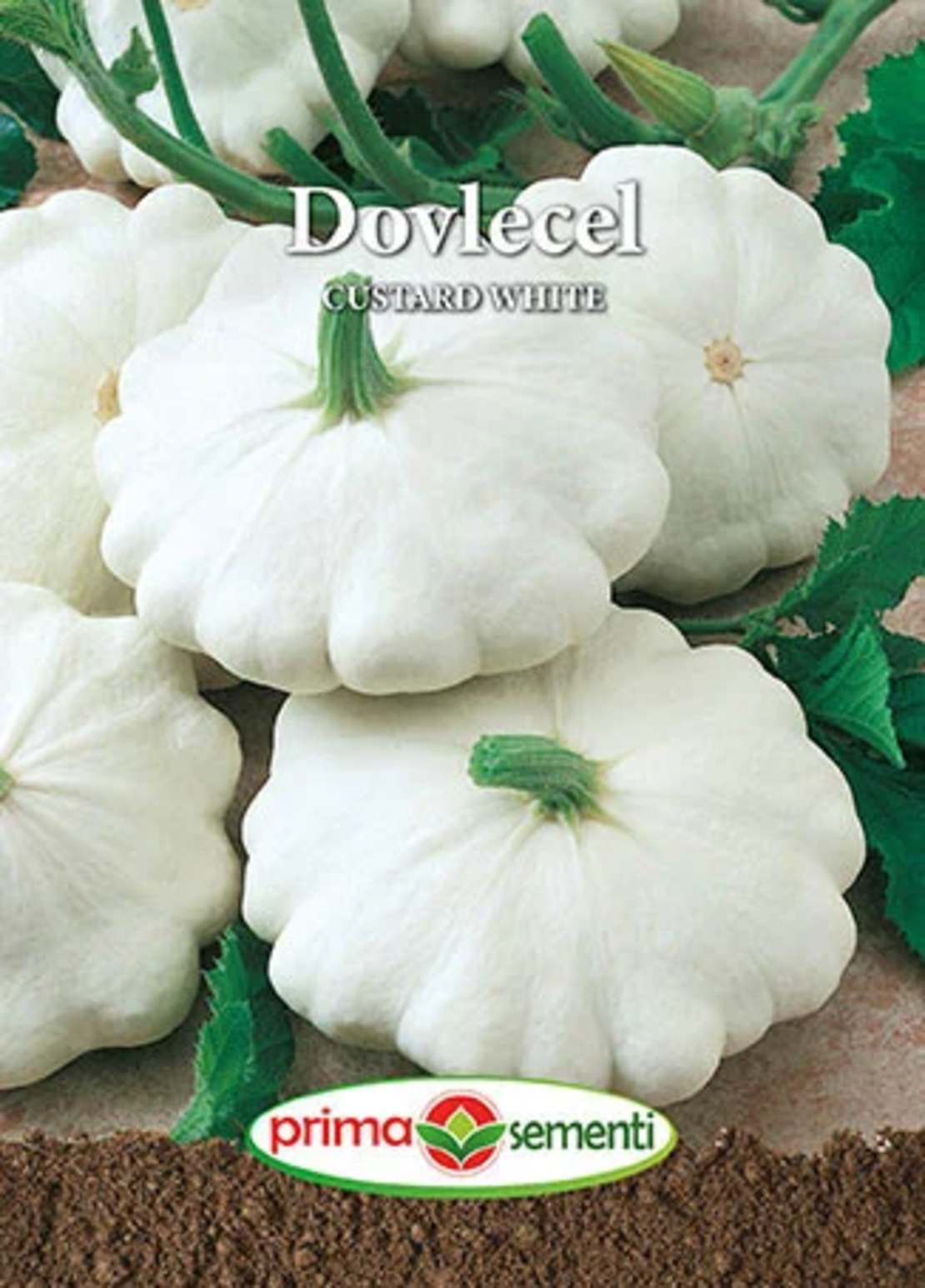 PRIMA SEMENTI DOVLECEL CUSTARD WHITE