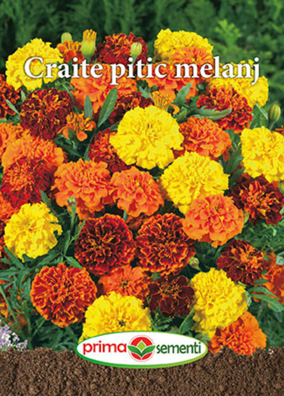 CRAITE PITIC MELANJ 1GR