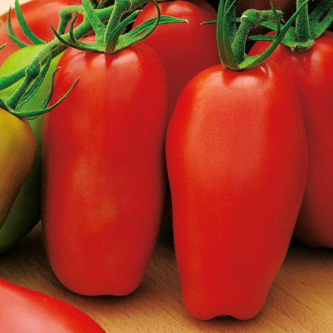TOMATE SCATOLONE 3 0.3GR