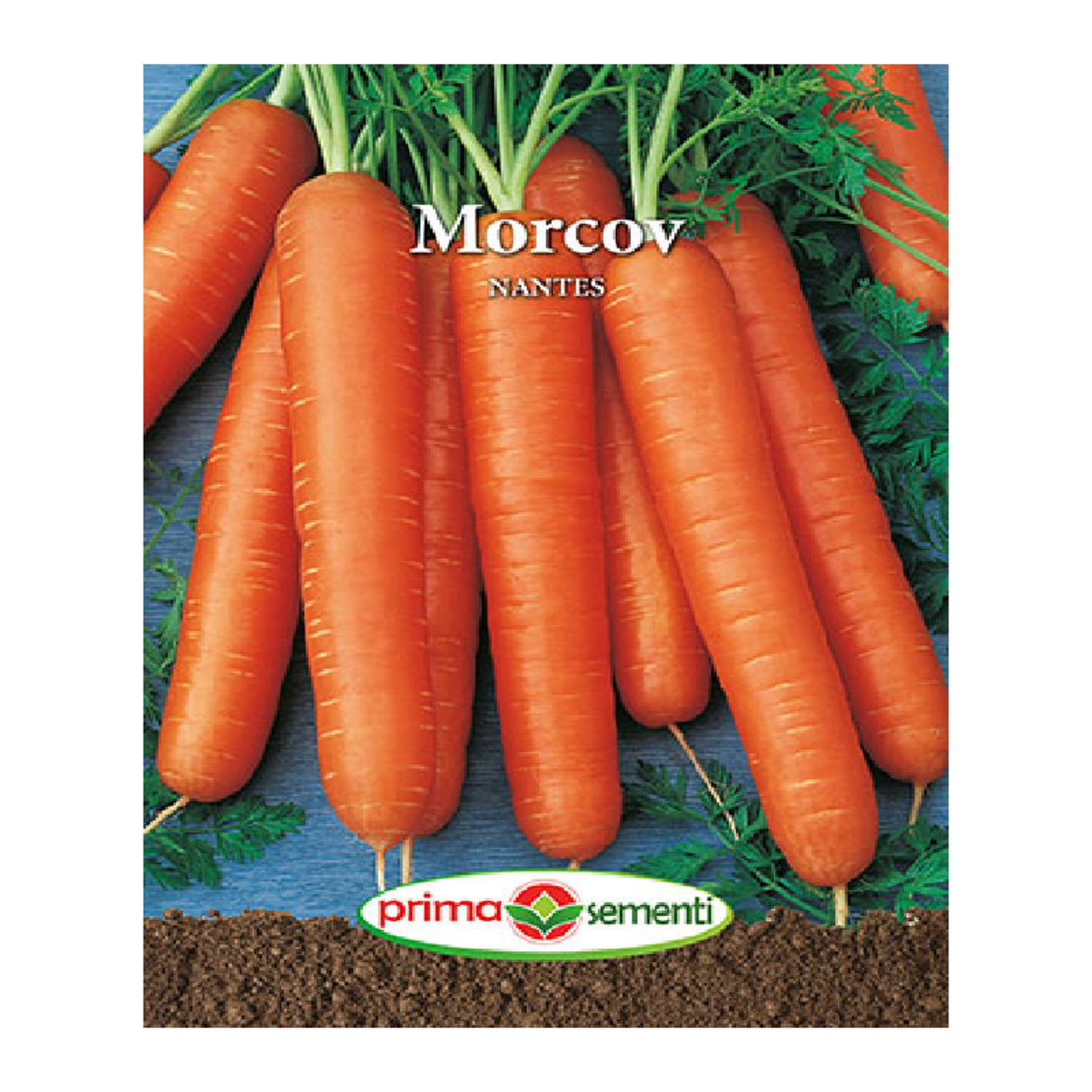 PLIC MORCOV NANTES 5GR