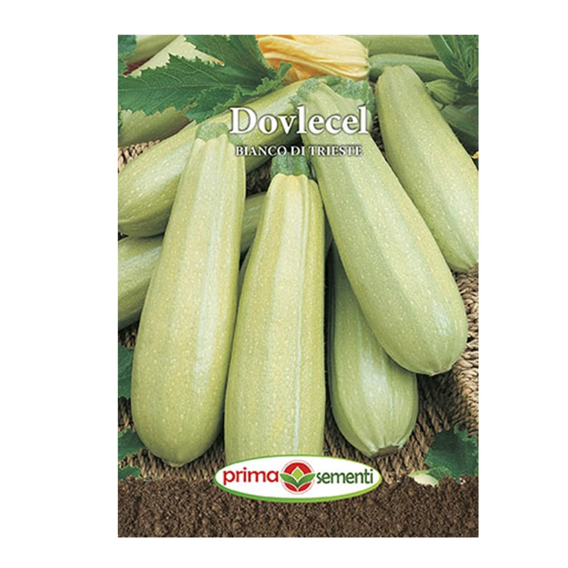 DOVLECEL BIANCO DI TRIESTE 15 GR