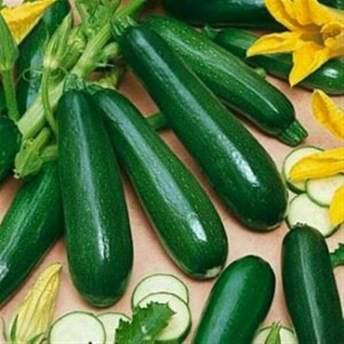 DOVLECEL TIP ZUCCHINI NERO DI MILANO 15G
