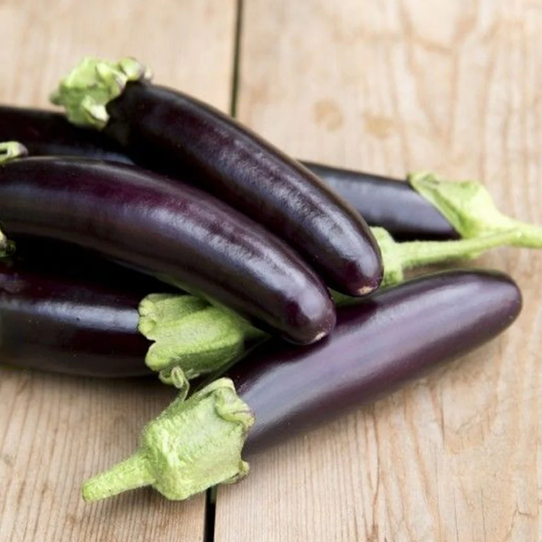 VINETE VIOLETTA LUNGA -2GR