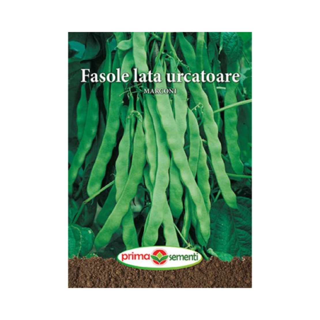 FASOLE LATA URCATOARE  MARCONI 70GR